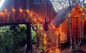 Sanctuaria Treehouses Busuanga